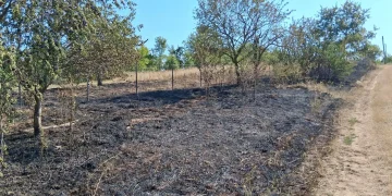 FOTO | Cu focul nu-i de joacă. Pompierii din Tășnad intervenție pentru stingerea unui incendiu de vegetație