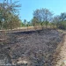 FOTO | Cu focul nu-i de joacă. Pompierii din Tășnad intervenție pentru stingerea unui incendiu de vegetație