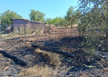 FOTO | Cu focul nu-i de joacă. Pompierii din Tășnad intervenție pentru stingerea unui incendiu de vegetație