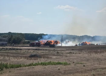 FOTO | Incendiile nu se opresc în Bihor. 12 intervenții într-o singură zi