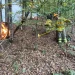 incendiu