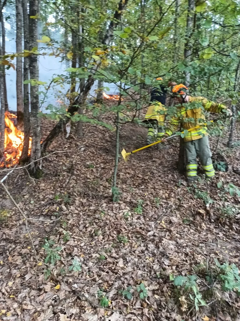 incendiu