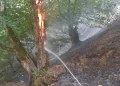 Zeci de hectare afectate de incendii în Bihor într-o singură zi. Intervențiile pompierilor continuă