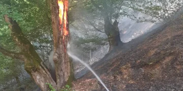 Zeci de hectare afectate de incendii în Bihor într-o singură zi. Intervențiile pompierilor continuă