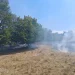 Peste 40 de hectare de vegetație mistuite de foc în urma temperaturilor ridicate din Satu Mare