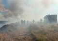 Incendiu de vegetație pe Valea Avrigului. Aproximativ 50 de hectare sunt cuprinse de flăcări