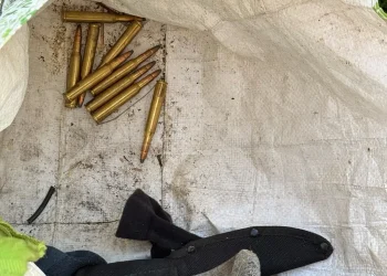 VIDEO | Percheziții de amploare în zona Vișeu de Sus: armă de vânătoare, muniție, mii de țigarete și zeci de trofee, ridicate de polițiști