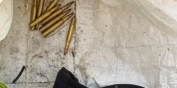 VIDEO | Percheziții de amploare în zona Vișeu de Sus: armă de vânătoare, muniție, mii de țigarete și zeci de trofee, ridicate de polițiști