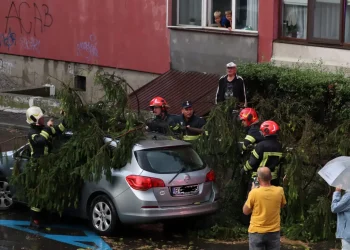 Vremea severă, pagube în Brașov. Copaci căzuți peste mașini și garaje inundate