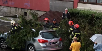 Vremea severă, pagube în Brașov. Copaci căzuți peste mașini și garaje inundate