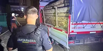 Transport ilegal de lemn, oprit la Bistrița Bârgăului. Jandarmii nu au stat pe gânduri