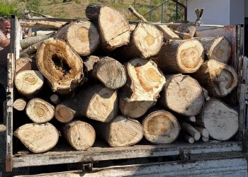 Amendă de 4 mii de lei. Transporta lemne, dar fără acte. A fost prins în Săvădisla, Cluj