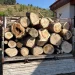 Amendă de 4 mii de lei. Transporta lemne, dar fără acte. A fost prins în Săvădisla, Cluj