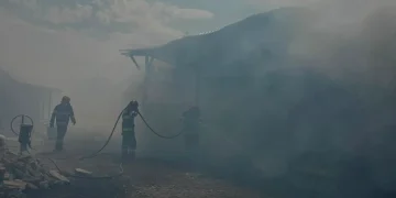 Incendiu în apropiere de Satu Mare. Mai multe animale surprinse de flăcări într-o anexă gospodărească