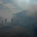 Incendiu în apropiere de Satu Mare. Mai multe animale surprinse de flăcări într-o anexă gospodărească