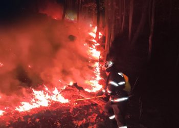 11 incendii într-o singură zi în Bihor. Peste 50 de hectare au fost afectate de flăcări