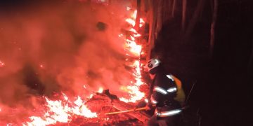 11 incendii într-o singură zi în Bihor. Peste 50 de hectare au fost afectate de flăcări