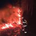 11 incendii într-o singură zi în Bihor. Peste 50 de hectare au fost afectate de flăcări