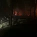 Aproximativ 5 hectare cuprinse de flăcări între Certeze și Bixad. Incendii de vegetație în Satu Mare