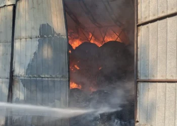 SĂLAJ | Depozit de fân în flăcări. Sute de oi evacuate din calea focului
