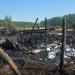 Incendiu la o hală din apropiere de Carei. Tractoare și bidoane cu motorină amenințate de flăcări
