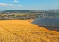 20 de hectare de miriște în flăcări. Intervin pompierii din Târgu Mureș