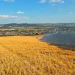 20 de hectare de miriște în flăcări. Intervin pompierii din Târgu Mureș