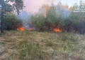 Pompierii sătmăreni au de furcă cu incendiile de vegetație. 22 de hectare afectate în Certeze și Gherța Mică