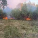 Pompierii sătmăreni au de furcă cu incendiile de vegetație. 22 de hectare afectate în Certeze și Gherța Mică