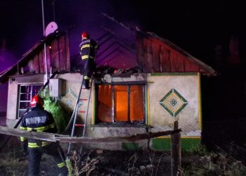 FOTO Vegetație și clădiri în flăcări. Pompierii bihoreni au avut parte de peste 20 de misiuni în weekend