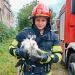 Pompierii sibieni, misiune specială. Au salvat un pui de barză