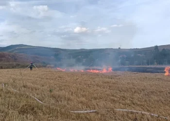 Flăcările au cuprins o balotieră și vegetația uscată, intervin pompierii din Aiud. Aproximativ un hectar de teren, afectat