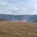 Flăcările au cuprins o balotieră și vegetația uscată, intervin pompierii din Aiud. Aproximativ un hectar de teren, afectat