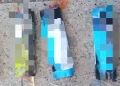 Fumigene confiscate la meciul Minaur Baia Mare – Corvinul Hunedoara. 2 bărbați, depistați de jandarmi