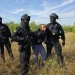 Evadatul căutat în Maramureș a fost găsit. Se ascundea pe un teren viran de lângă Baia Mare