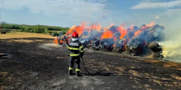 Mai multe incendii semnalate în județul Satu Mare. Baloți în flăcări, animale și o locuință în pericol