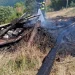 Incendiu la un gater în Mărișel. O stivă de scânduri a luat foc