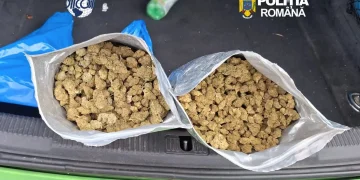 droguri
