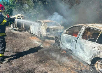 5 mașini făcute scrum în urma unui incendiu de vegetație în Mureș