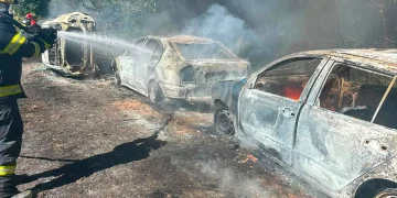 5 mașini făcute scrum în urma unui incendiu de vegetație în Mureș