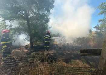Avertisment ISU Bihor! 15 incendii de vegetație într-un singur weekend