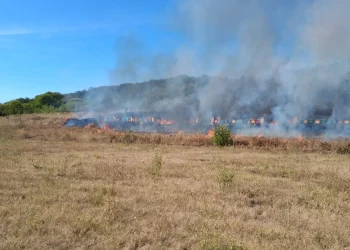 În 24 de ore pompierii bihoreni au intervenit la 14 incendii de vegetație