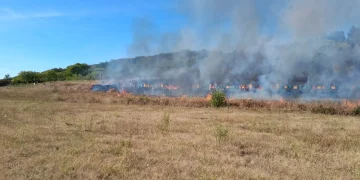 În 24 de ore pompierii bihoreni au intervenit la 14 incendii de vegetație