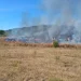 În 24 de ore pompierii bihoreni au intervenit la 14 incendii de vegetație