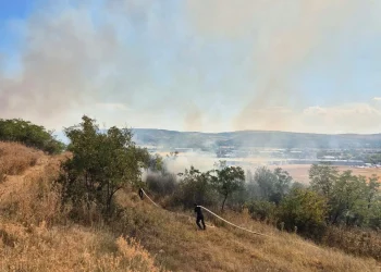1000 de mp cuprinși de un incendiu de vegetație în Alba Iulia