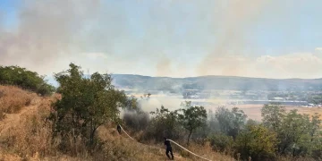 1000 de mp cuprinși de un incendiu de vegetație în Alba Iulia