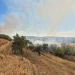 1000 de mp cuprinși de un incendiu de vegetație în Alba Iulia
