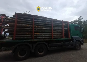 Camion pus sub sechestru. Transport ilegal de lemne depistat la Rona de Sus