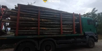 Transport ilegal de lemne depistat la Rona de Sus. Camion pus sub sechestru