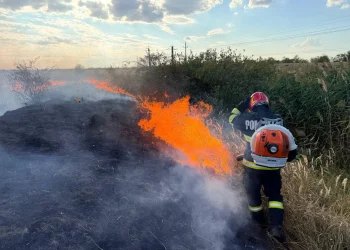 Incendii de vegetație. Pompierii intervin la Moftinu Mic și în municipiul Satu Mare